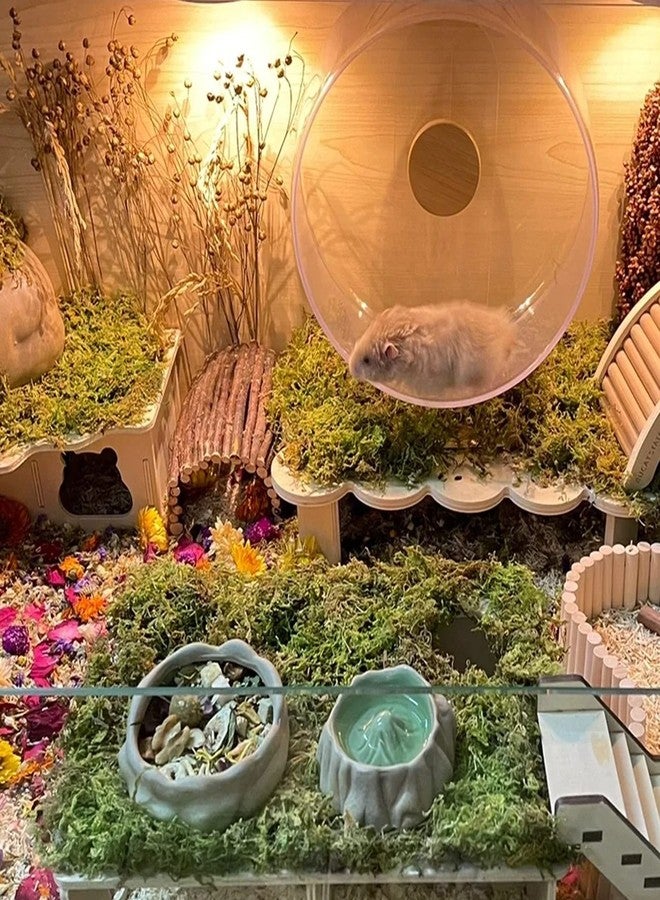 دكتور دودو طحالب الغابات من دكتور دودو، سعة 15 لترًا، مثالية لفرش الهامستر، وتجهيز أقفاص الهامستر والجرذان السورية، ومستلزمات مثالية للحيوانات الصغيرة، وطحالب مناسبة لأحواض التيراريوم. - Image 5